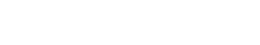 Logo FlowChief