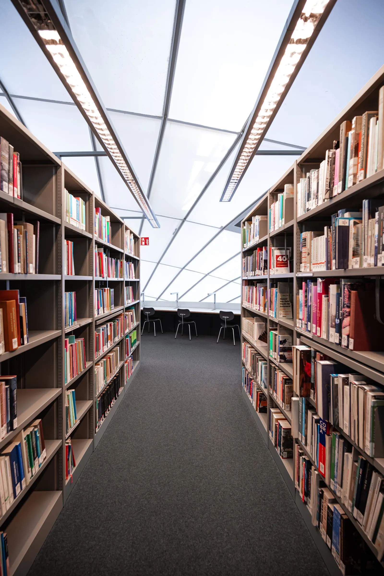 Lange Regalflucht einer Bibliothek unter einem Oberlicht